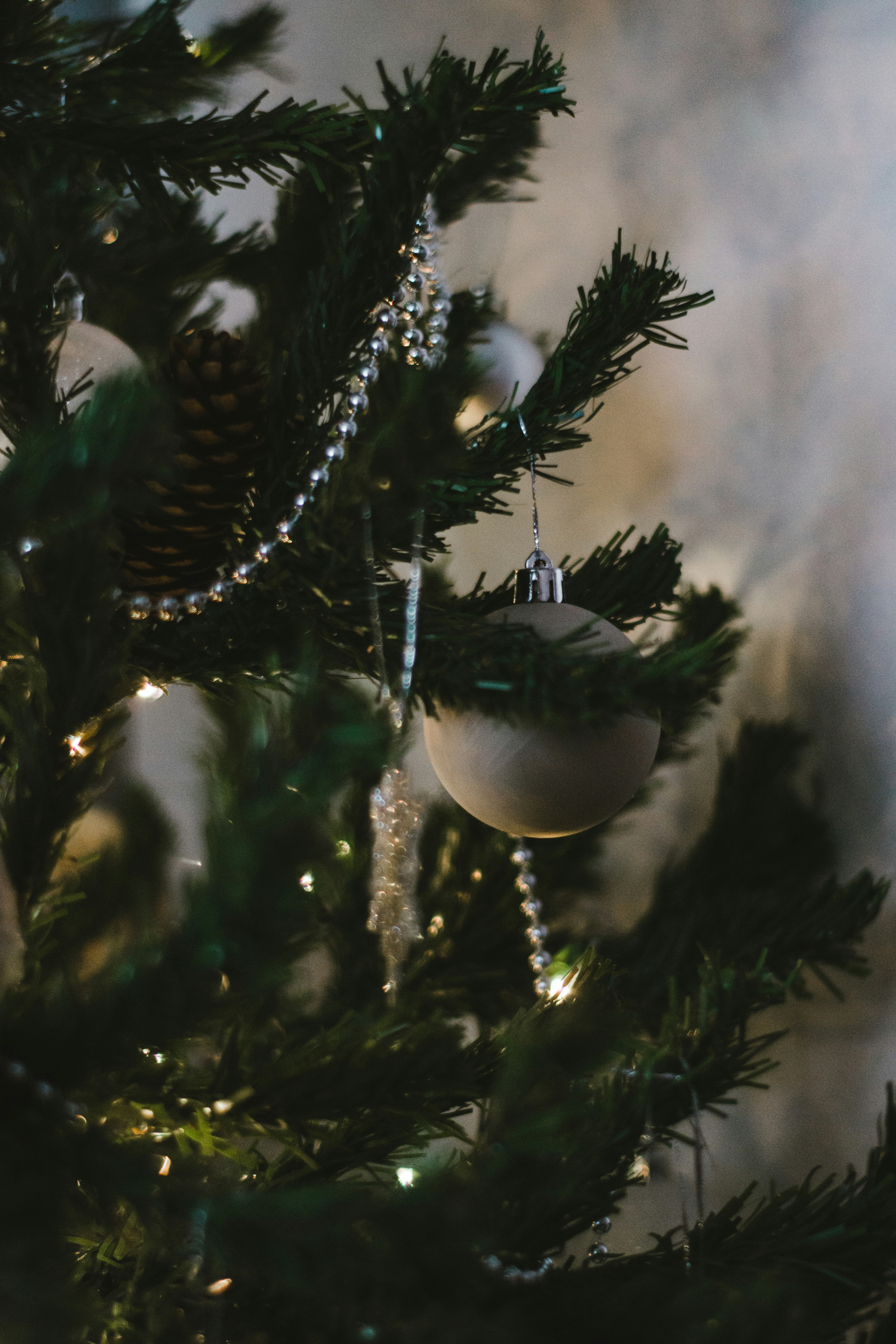 white and blue bird on green tree branch